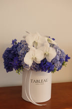 Moonlit Hydrangea Garden Box