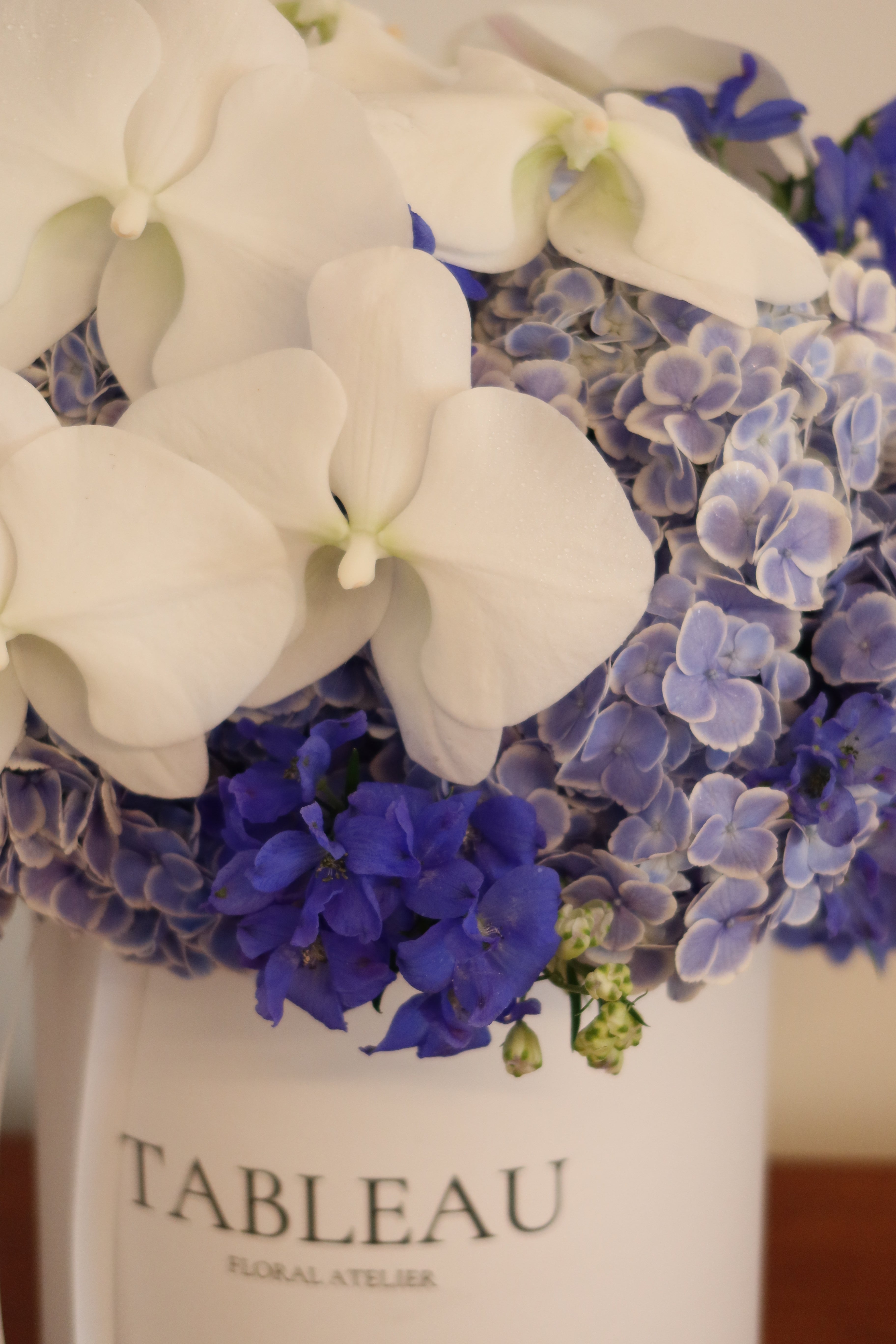 Moonlit Hydrangea Garden Box