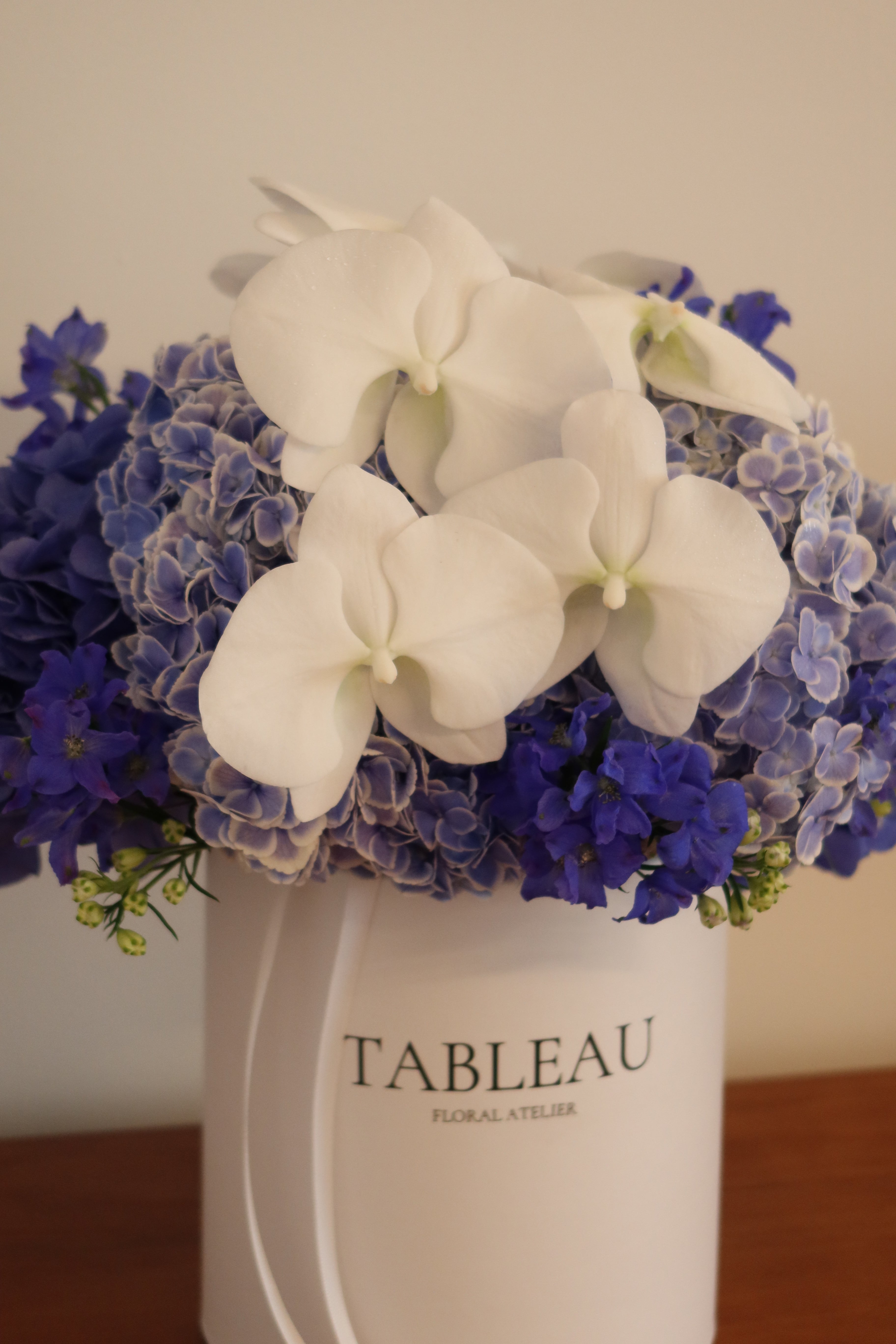 Moonlit Hydrangea Garden Box